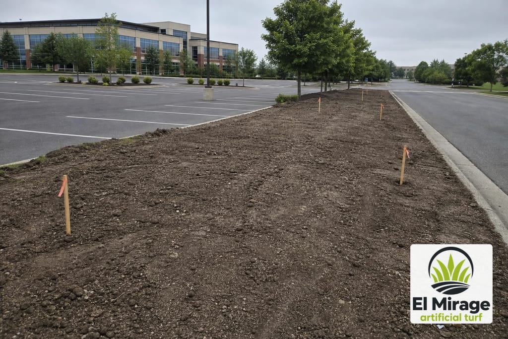 Commercial Landscape Turf Installation photo