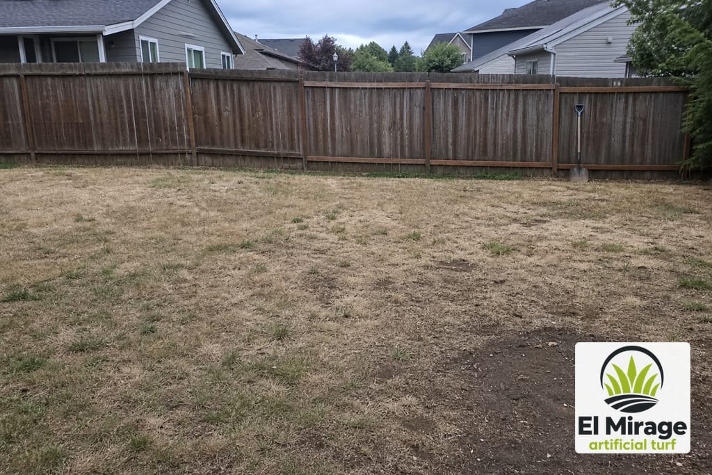 Desert Climate Turf Conversion (Dead-Lawn Replacement) photo