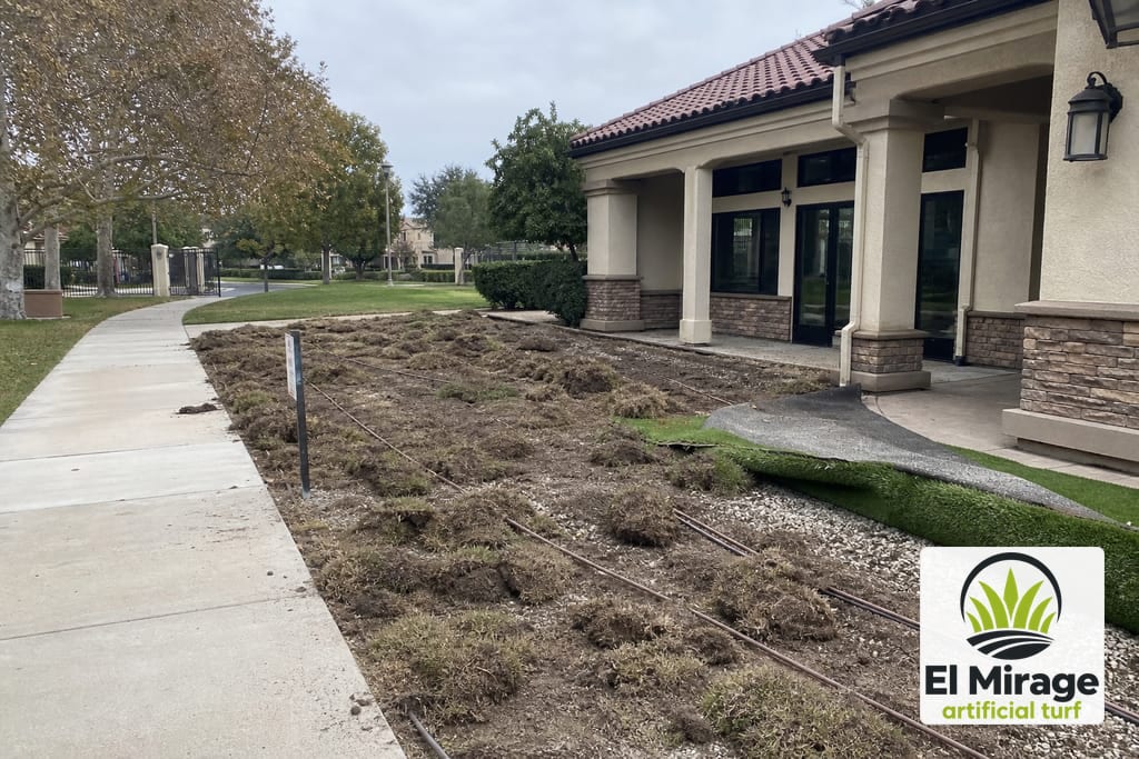 HOA and Common Area Turf photo