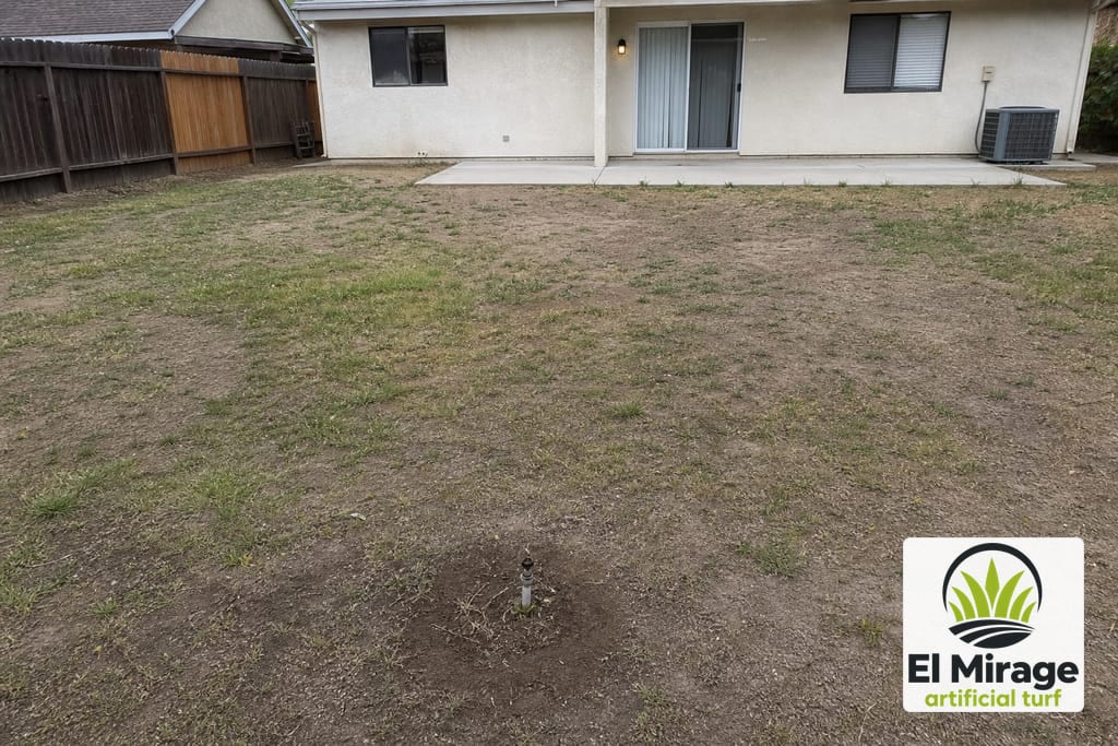 Residential Backyard Turf Installation photo
