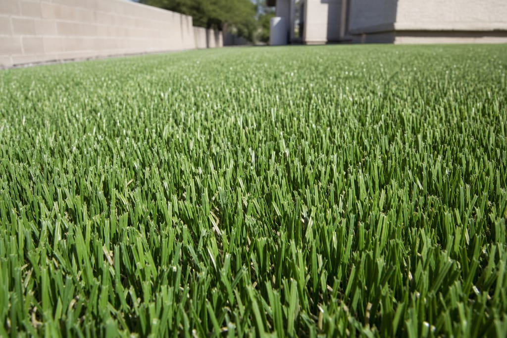 Athletic-grade turf fibers photo