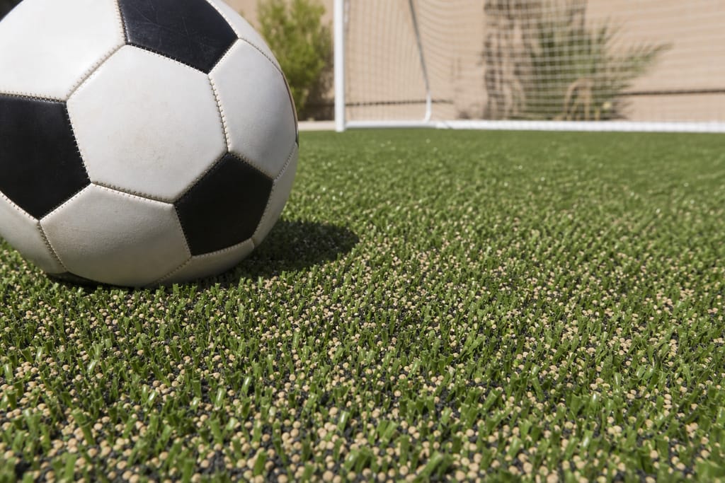 Performance infill blend photo
